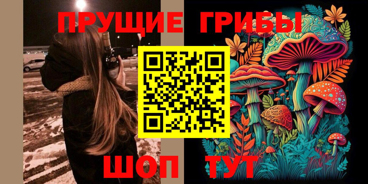 Псилоцибиновые грибы Cubensis Бузулук